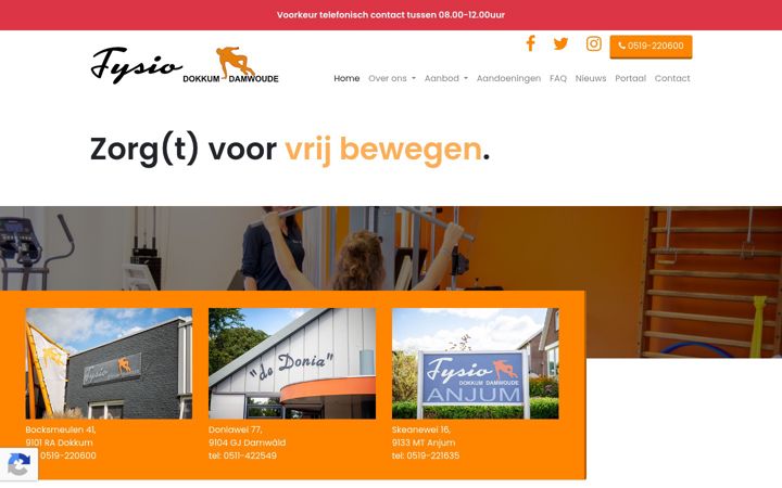 Screenshot of fysiodokkumdamwoude.nl