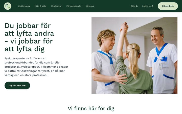 Screenshot of fysioterapeuterna.se