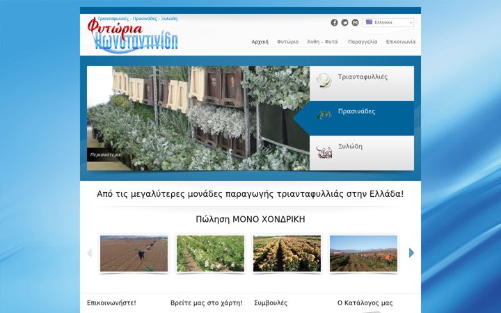 Screenshot of fytoriakonstantinidi.gr