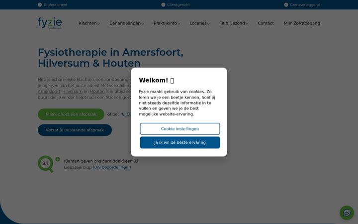 Screenshot of fyzie.nl