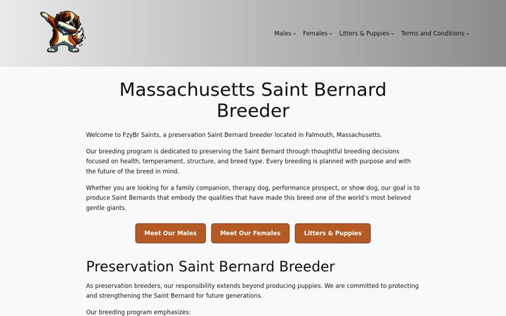 Screenshot of fzybr.com