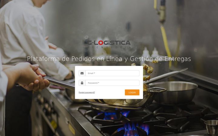 Screenshot of g-logisticadigital.com
