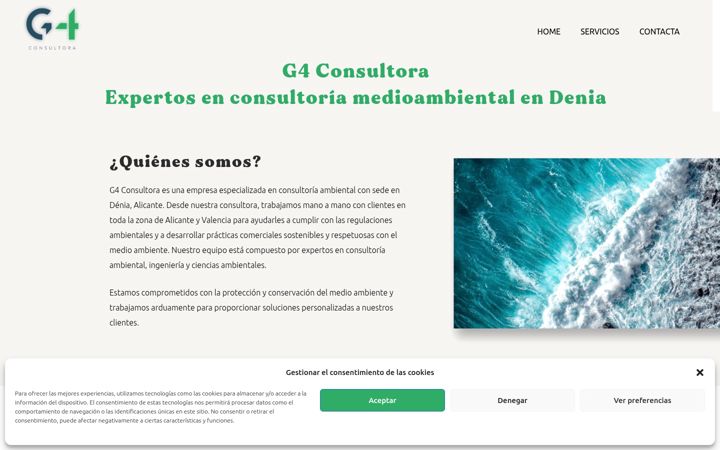 Screenshot of g4consultora.es
