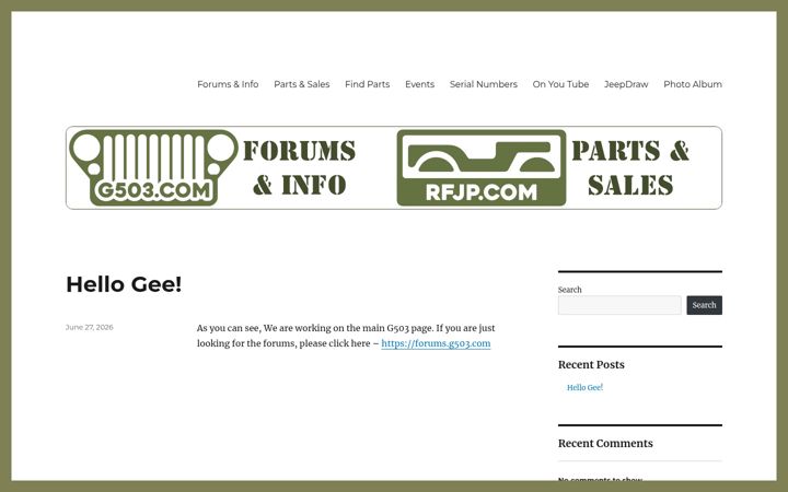 Screenshot of g503.com