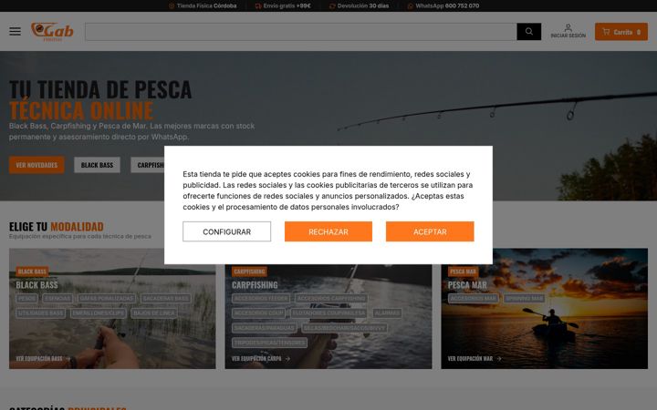 Screenshot of gabfishing.com