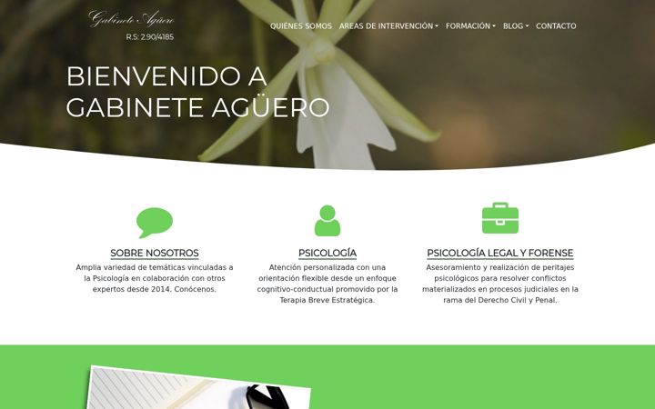 Screenshot of gabineteaguero.com