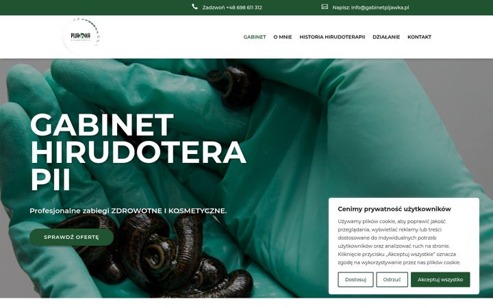 Screenshot of gabinetpijawka.pl
