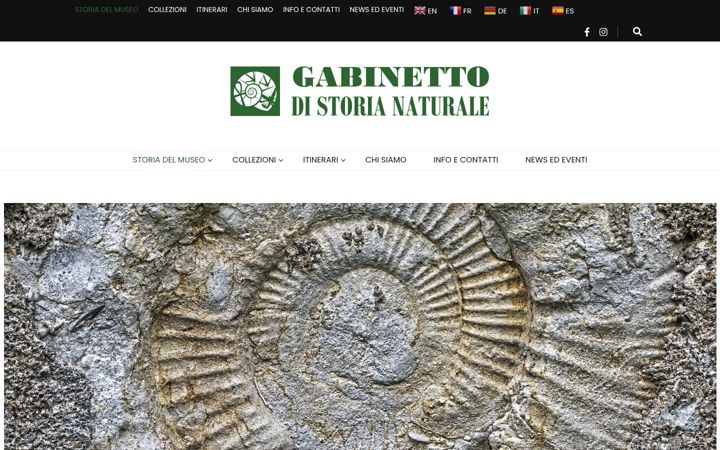 Skærmbillede af gabinettostorianaturale.it