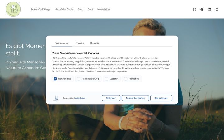 Screenshot of gabirieser.com