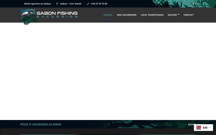 Screenshot of gabonfishingexcursion.com