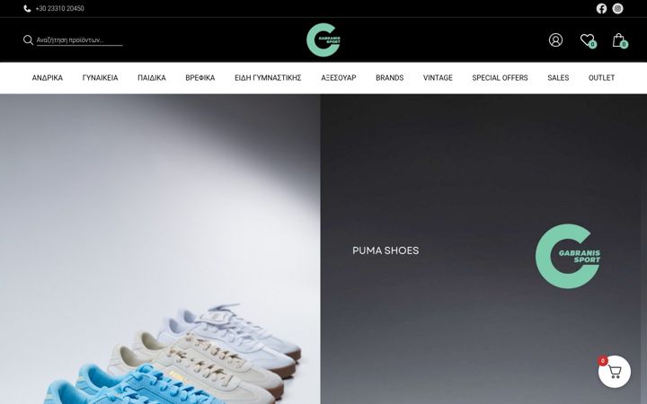 Screenshot of gabranisport.com