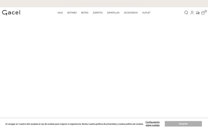 Screenshot of gacel.cl