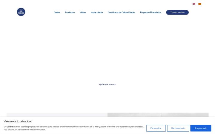 Screenshot of gadira.com