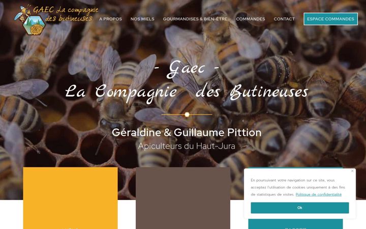 Screenshot of gaec-lacompagniedesbutineuses.com
