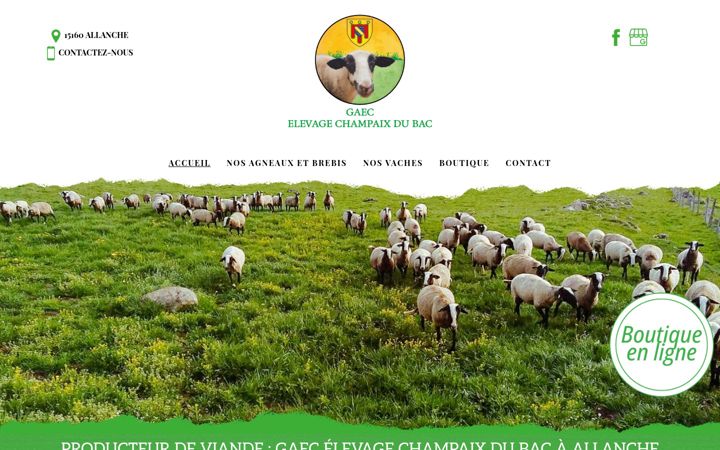 Screenshot of gaecelevagechampaixdubac.fr