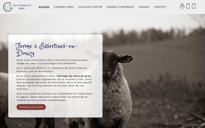 Screenshot of gaeclafermedelatuilerie.fr