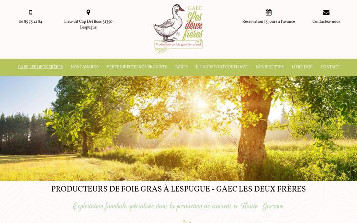 Screenshot of gaeclesdeuxfreres.com