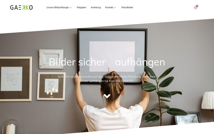 Screenshot of gaekko.de