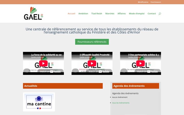 Screenshot of gael29.com