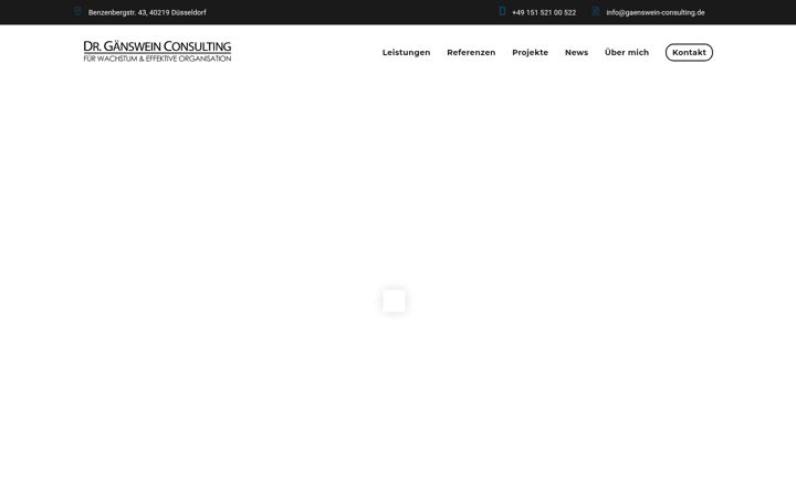Screenshot di gaenswein-consulting.de