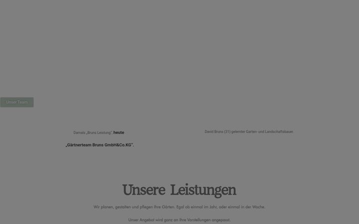 Screenshot of gaertnerteambruns.de