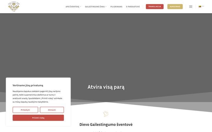 Screenshot of gailestingumas.lt