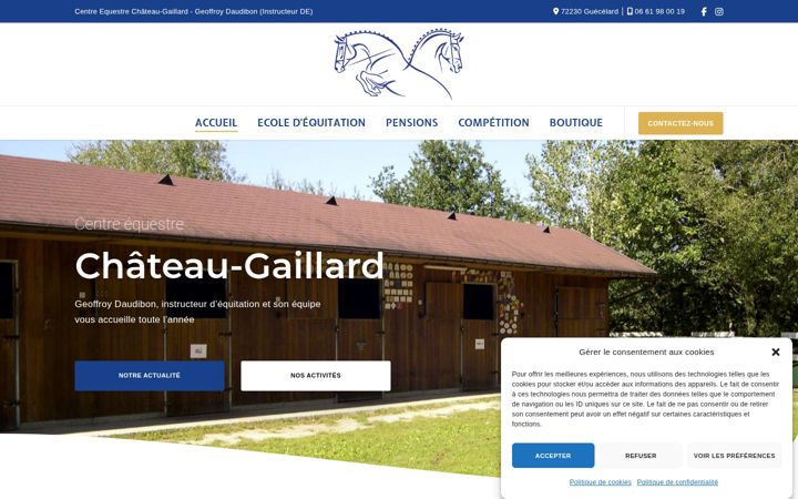Screenshot of gaillard-equitation.com