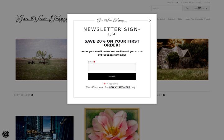 Screenshot of gailwileythompson.com