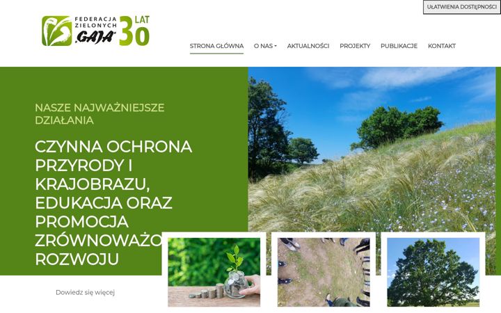Screenshot of gajanet.pl
