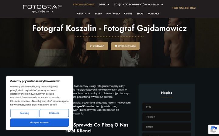 Screenshot of gajdamowicz.art