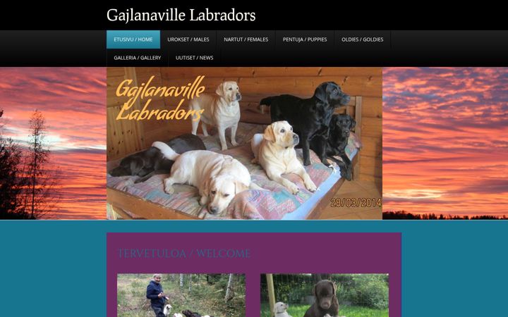 Screenshot of gajlanavillelabradors.fi