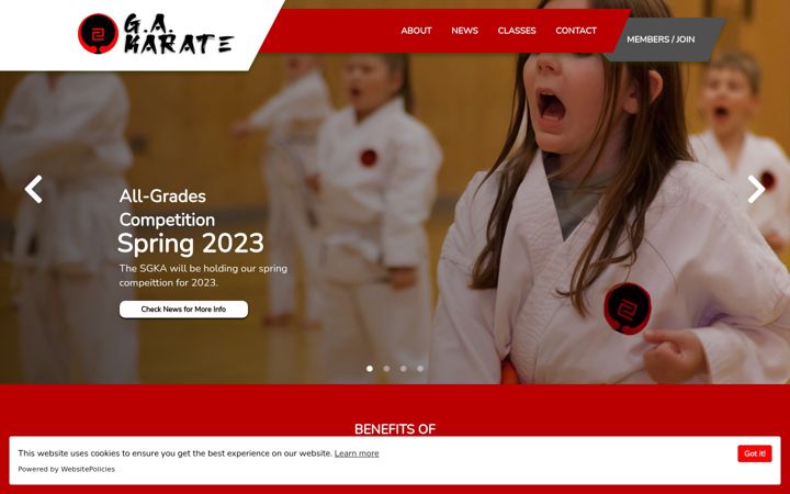 Screenshot of gakarate.co.uk