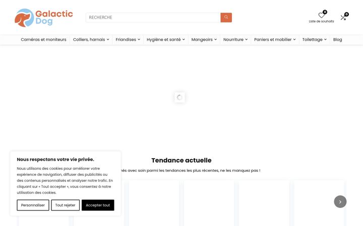 Screenshot of galacticdog.shop