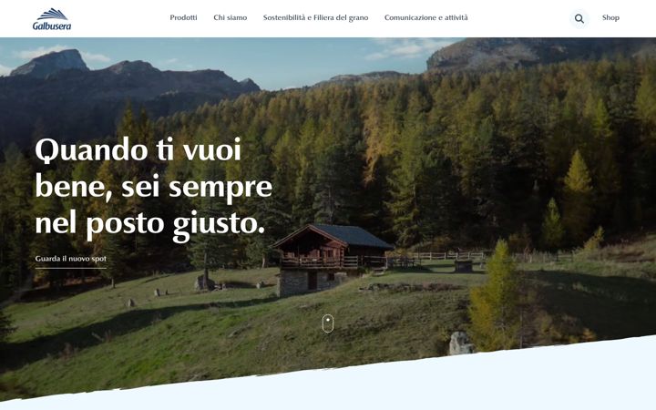 Screenshot of galbusera.it