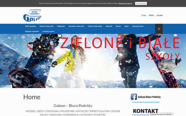 Screenshot of galeon.krakow.pl