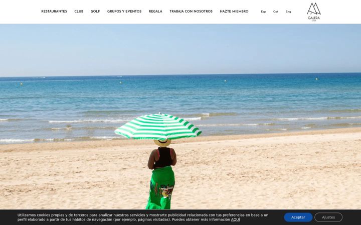 Screenshot of galeragroup.com