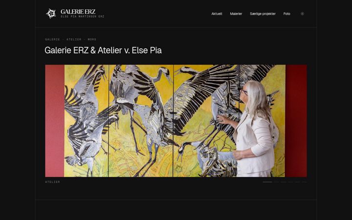 Screenshot of galerie-erz.dk
