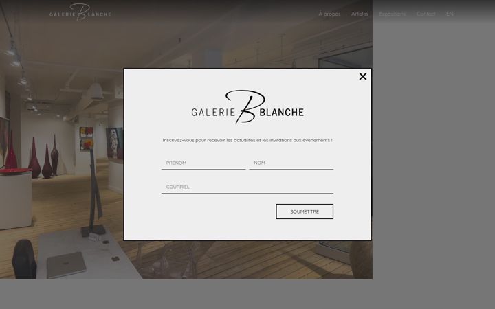 Screenshot of galerieblanche.com