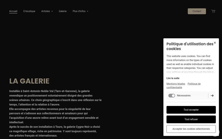 Screenshot of galeriecygnenoir.fr