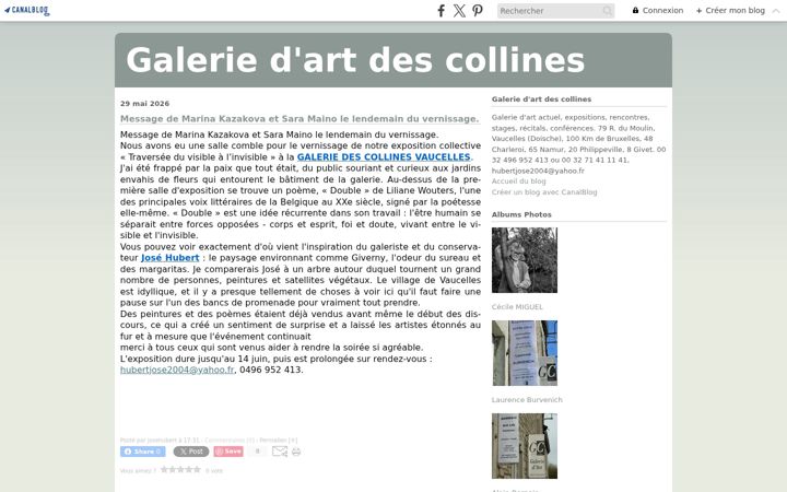 Screenshot of galeriedescollineshubert.com