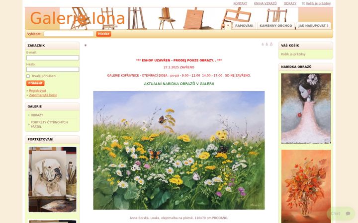 Screenshot of galerieiona.cz