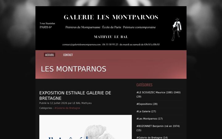 Screenshot of galerielesmontparnos.com