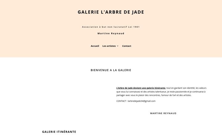 Screenshot of galeriemartinereynaud.com