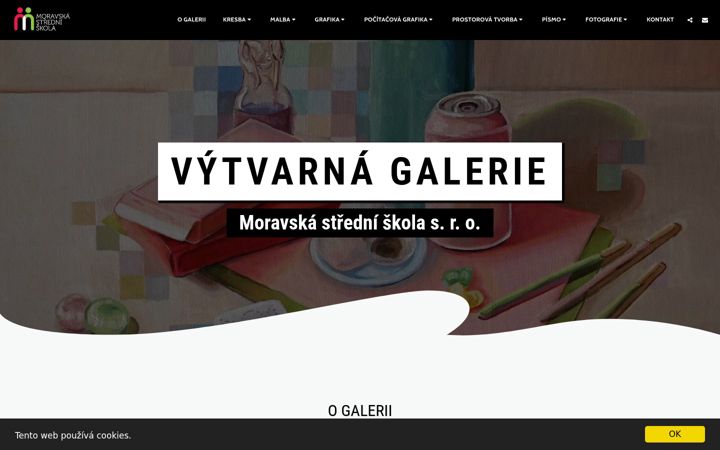 Screenshot of galeriemoravskastredni.com