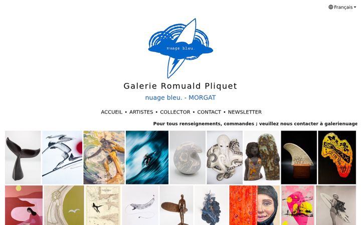 Screenshot of galerieromualdpliquet.com