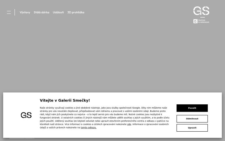 Screenshot of galeriesmecky.cz