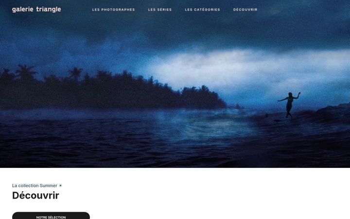 Screenshot of galerietriangle.com