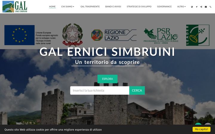 Screenshot of galernicisimbruini.com