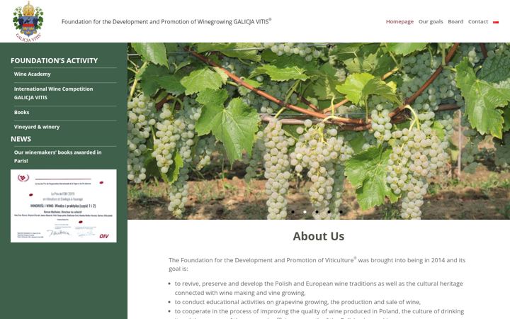 Screenshot of galicjavitis.pl