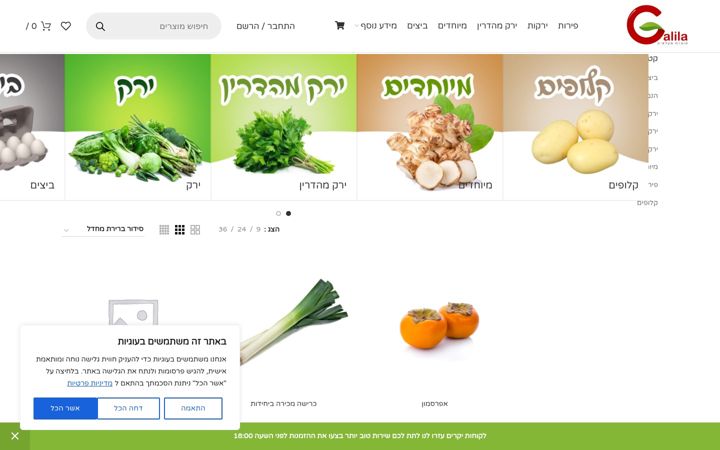 Screenshot of galila-ltd.co.il
